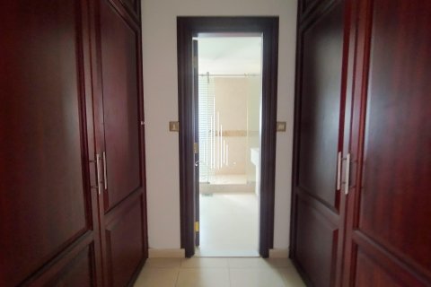 Vila v Tourist Club Area, Abu Dhabi, SAE 5 ložnice, 418.1 m² Č.: 578704 - fotografie 16