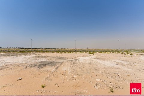 Land te koop in Jebel Ali, Dubai, VAE 1250 vr.m., nr 701274 - foto 8