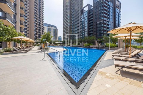 آپارتمان برای اجاره در Downtown Dubai (Downtown Burj Dubai)، Dubai، امارات متحده عربی 43.48 متر مربع ، شماره 745541 - تصویر 13