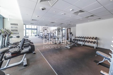 آپارتمان برای اجاره در Downtown Dubai (Downtown Burj Dubai)، Dubai، امارات متحده عربی 43.48 متر مربع ، شماره 745541 - تصویر 9