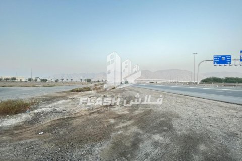 Tokë në Shamal Julphar, Ras Al Khaimah, Emiratet e Bashkuara Arabe 10683.8 m2. № 611667 - Foto 15