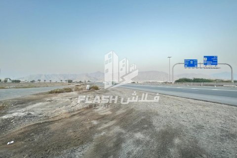 Tokë në Shamal Julphar, Ras Al Khaimah, Emiratet e Bashkuara Arabe 10683.8 m2. № 611667 - Foto 14