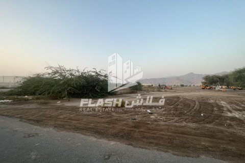 Tokë në Shamal Julphar, Ras Al Khaimah, Emiratet e Bashkuara Arabe 10683.8 m2. № 611667 - Foto 6