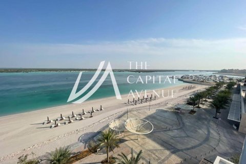 阿联酋 Abu Dhabi Saadiyat Island 待租 : 3 卧, 195 平方米 , 编号605070 - 照片 1