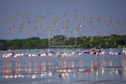 Tokë në Al Zorah, Ajman, Emiratet e Bashkuara Arabe 1036 m2. № 591683 - Foto 11
