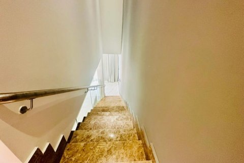 ویلا برای اجاره در Rukan، Dubai، امارات متحده عربی 2 خوابه ، 159 متر مربع ، شماره 693917 - تصویر 1