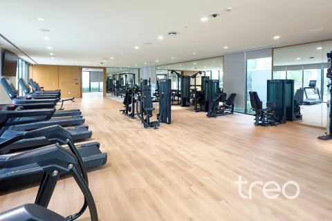 Rijtjeshuis te huur in The Valley, Dubai, VAE 4 slaapkamers, 213.68 vr.m., nr 733764 - foto 13