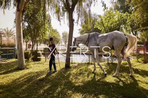 Řadový dům na Yas Island, Abu Dhabi, SAE 3 ložnice, 268.8 m² Č.: 572544 - fotografie 16