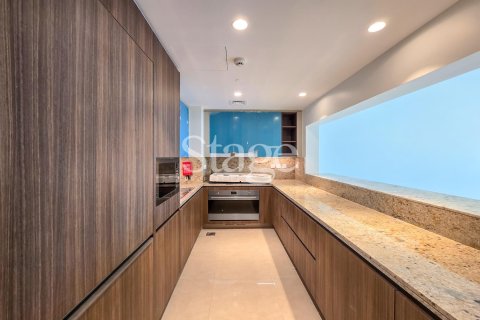 Müüa korter asukohaga Downtown Dubai (Downtown Burj Dubai), AÜE: 3 magamistoaga, 203 m² Nr 646470 - pilt 4