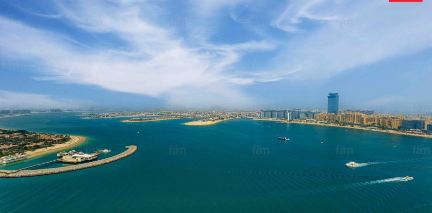 آپارتمان در Dubai Harbour، Dubai ، امارات متحده عربی 3 خوابه ، 180.1 متر مربع.  شماره 646965