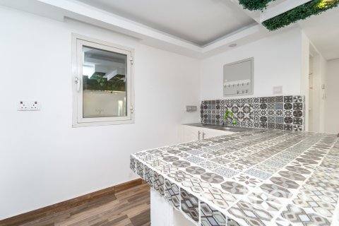 阿联酋 Dubai The Springs 别墅 3 卧, 208.66 平方米 , 编号 753764