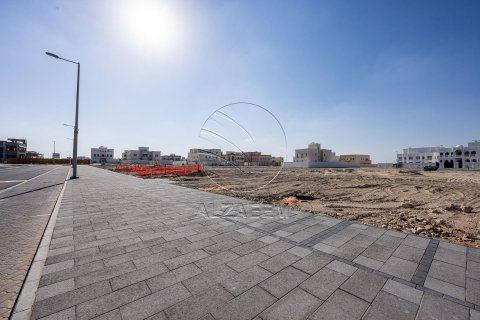 Land in Abu Dhabi, UAE 3716 sq.m. № 616095 - photo 3