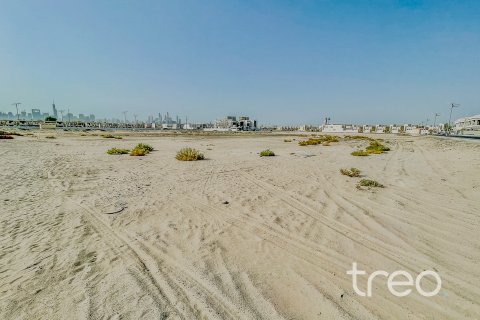 قطعة أرض للبيع في Jumeirah Park، دبي، الإمارات العربية المتحدة 738.86 متر مربع ، رقم 733072 - صورة 3