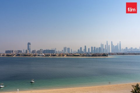阿联酋 Dubai Palm Jumeirah 待售 : 3 卧, 185.2 平方米 , 编号576474 - 照片 22
