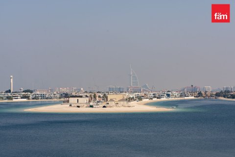 阿联酋 Dubai Palm Jumeirah 待售 : 3 卧, 185.2 平方米 , 编号576474 - 照片 13