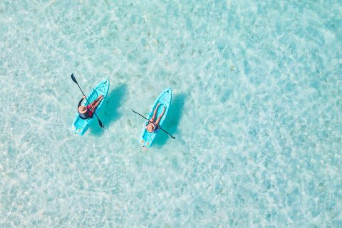 Купить виллу в Dubai South (Dubai World Central), Дубай, ОАЭ 4 спальни, 442м2, № 659346 - фото 15