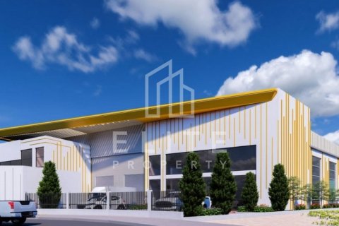 Warehouse in Dubai Investment Park, UAE 3559 sq.m. № 620194 - photo 4