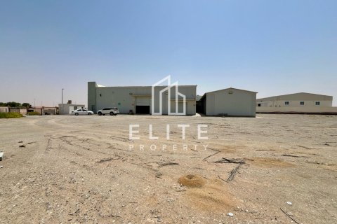 Warehouse in Al Ain, UAE 9999 sq.m. № 623534 - photo 6