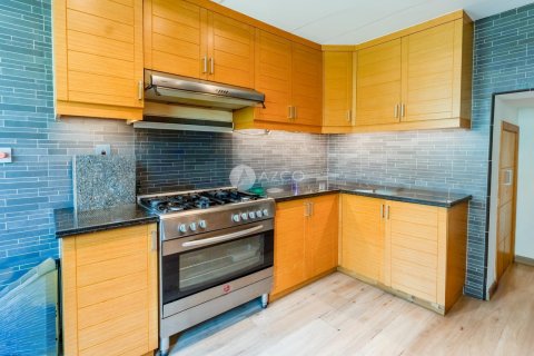Vila v Jumeirah Park, Dubai, SAE 4 ložnice, 510.8 m² Č.: 623421 - fotografie 38