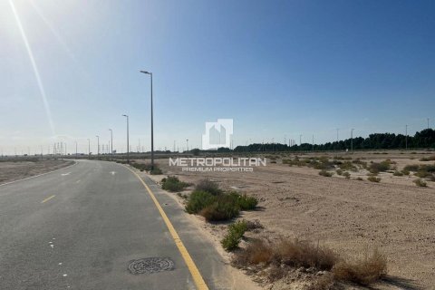 Lupain sa Jebel Ali, Dubai, UAE 905 sq.m. № 593477 - larawan 11
