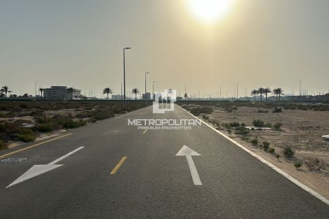 Lupain sa Jebel Ali, Dubai, UAE 905 sq.m. № 593477 - larawan 20