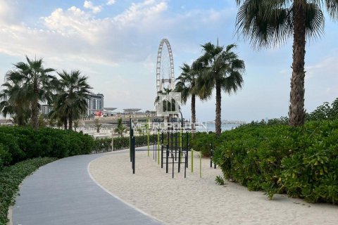 阿联酋 Dubai Jumeirah Beach Residence 待租 : 1 卧, 69 平方米 , 编号593381 - 照片 12