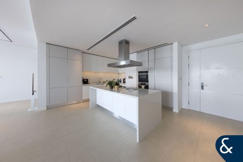 Al Barari, Dubai, UAE의 임대용 아파트 침실 1개, 357제곱미터 번호 668159 - 사진 4