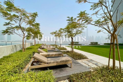 Lägenhet uthyres i Dubai Harbour, Dubai, UAE 1 sovrum, 79.04001434 kvm Nr. 651533 - fotografi 21