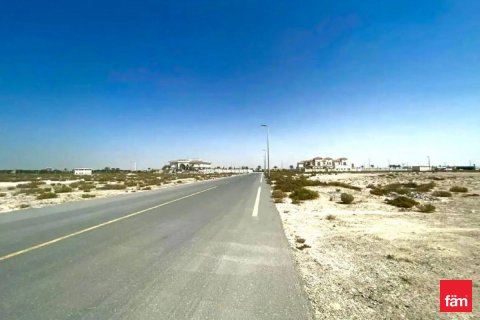 Land in Jebel Ali, Dubai, UAE 929 sq.m. № 701507 - photo 5