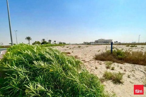 Land in Jebel Ali, Dubai, UAE 929 sq.m. № 701507 - photo 8