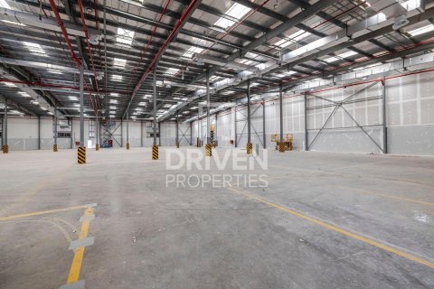 Lagerbyggnad uthyres i Jebel Ali, Dubai, UAE 8872.24 kvm Nr. 747076 - fotografi 10