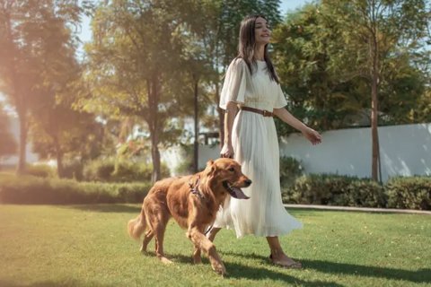 Kuća u nizu u gradu Dubai, UAE 4 spavaće sobe, 240 m2 Br. 691420 - Slika 9