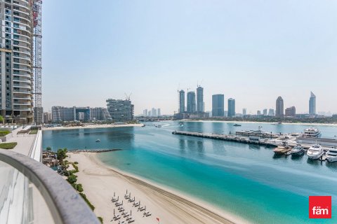 阿联酋 Dubai Dubai Harbour 待租 : 2 卧, 111.5 平方米 , 编号646977 - 照片 15