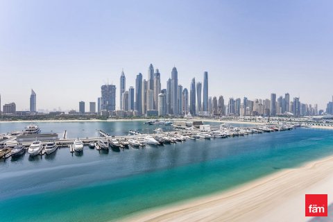 阿联酋 Dubai Dubai Harbour 待租 : 2 卧, 111.5 平方米 , 编号646977 - 照片 16