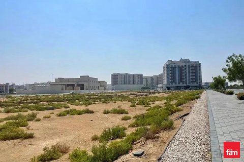 Tokë në Dubai, Emiratet e Bashkuara Arabe 1372.8 m2. № 686023 - Foto 4