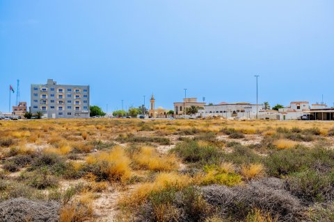 Terra para venda em Al Mairid, Ras Al Khaimah, EAU 1347 m2 № 656866 - foto 3