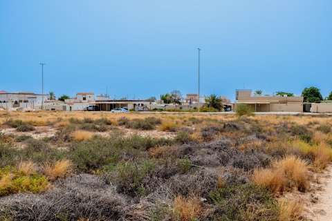 Terra para venda em Al Mairid, Ras Al Khaimah, EAU 1347 m2 № 656866 - foto 4