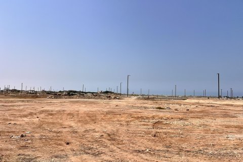 Жер телімі Al Mairid, Рас-эль-Хайма, БАӘ-да 450 м² № 656869 - фото 12