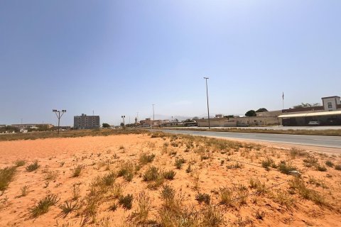 Tomt til salgs i Al Mairid, Ras Al Khaimah, Emiratene 450 kvm Nr. 656870 - Foto 13
