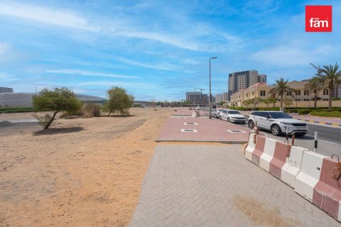 阿联酋 Dubai Wadi Al Safa 2 待售 : 525.2 平方米 , 编号703549 - 照片 8