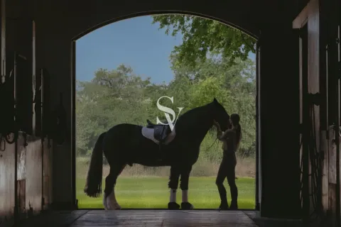 Vila u Dubai Investment Park, UAE 4 spavaćih soba, 315 m2 Br. 657764 - fotografija 8