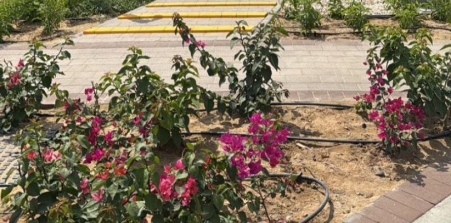 Huvila Town Square, Dubai, Arabiemiraatit 4 makuuhuonetta, 254 m2 № 703322