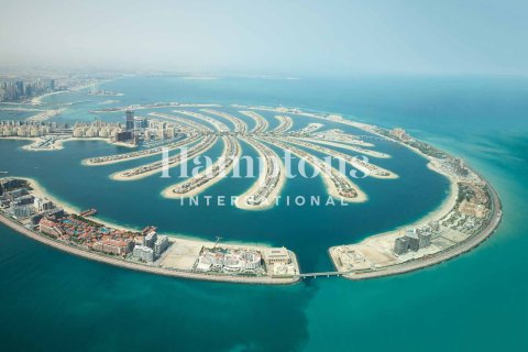 阿联酋 Dubai Palm Jumeirah 待租 : 2 卧, 125.98947442 平方米 , 编号705030 - 照片 4