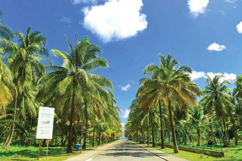 Huoneisto Al Marjan Island, Ras Al Khaimah, Arabiemiraatit 43 m2 № 656825 - kuva 8