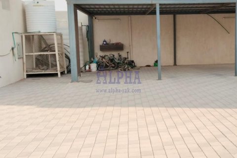 阿联酋 Ras Al Khaimah Al Riffa 待租 : 4 卧, 1393.5 平方米 , 编号645450 - 照片 17