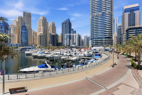 دوبلکس برای فروش در  Dubai Marina، Dubai، امارات متحده عربی  5 خوابه ، 862.42 متر مربع ، شماره 742754 - تصویر 25
