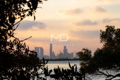 Vila v Abu Dhabi, SAE 5 ložnice, 619.1 m² Č.: 555188 - fotografie 12