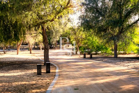 ویلا برای فروش در Abu Dhabi، امارات متحده عربی 2 خوابه ، 275 متر مربع ، شماره 716225 - تصویر 14