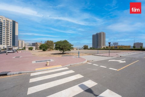 Zemes gabals Wadi Al Safa 2, Dubaijā, AAE 525.4 m2 Nr. 610549 - attēls 13