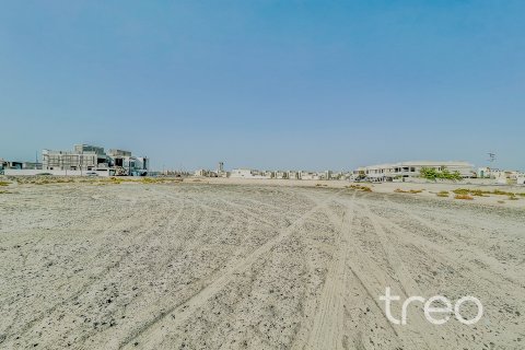 Pozemek v Jumeirah Park, Dubai, SAE 738.86 m² Č.: 761301 - fotografie 7